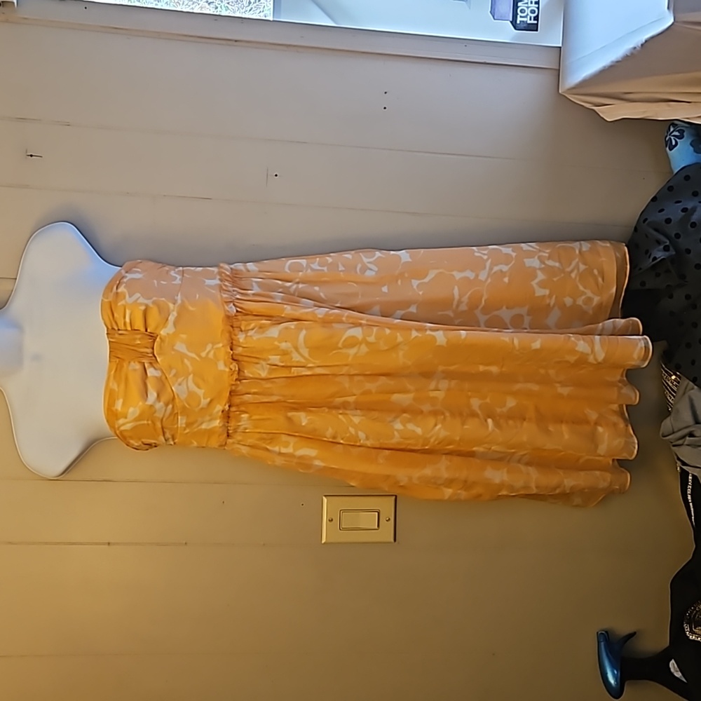 Womens Size 6 J Crew dress